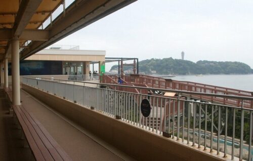 木製デッキと赤い手すりの通路、奥に江ノ島が見える景色