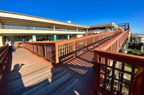 施設内の木製通路、奥に建物と青空が広がる景色